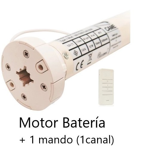Motor mando distancia con batería + cargador con mando 1 canal