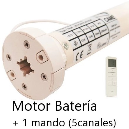 Motor mando distancia con batería + cargador con mando 5 canales